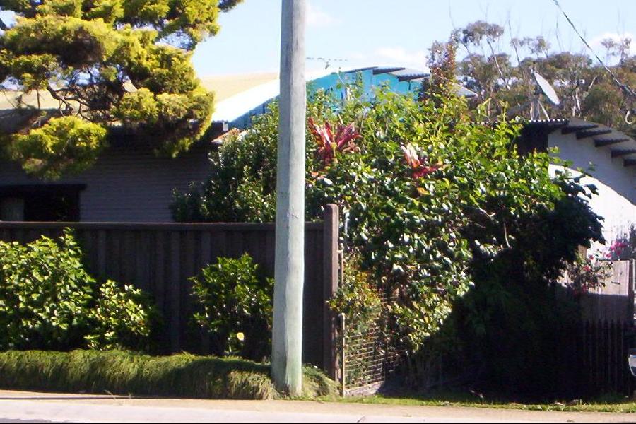 curved roof street view