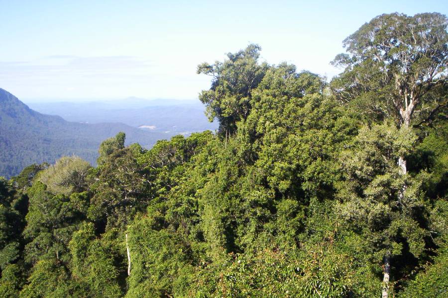 ocean facing forested ridges are critical to water catchment health