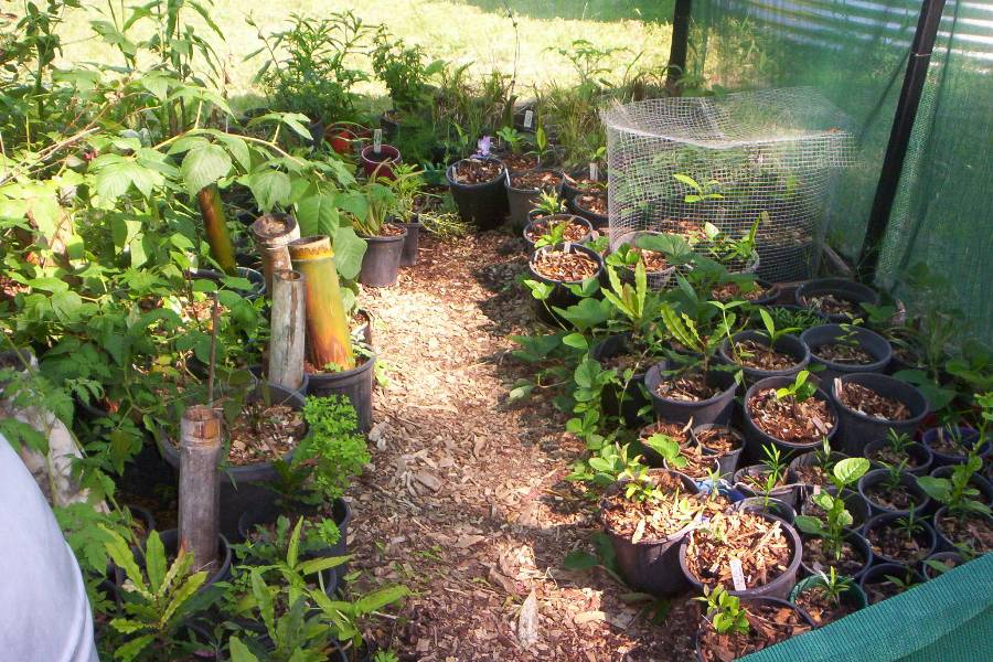 new in 2018 - practical, low cost, local courses